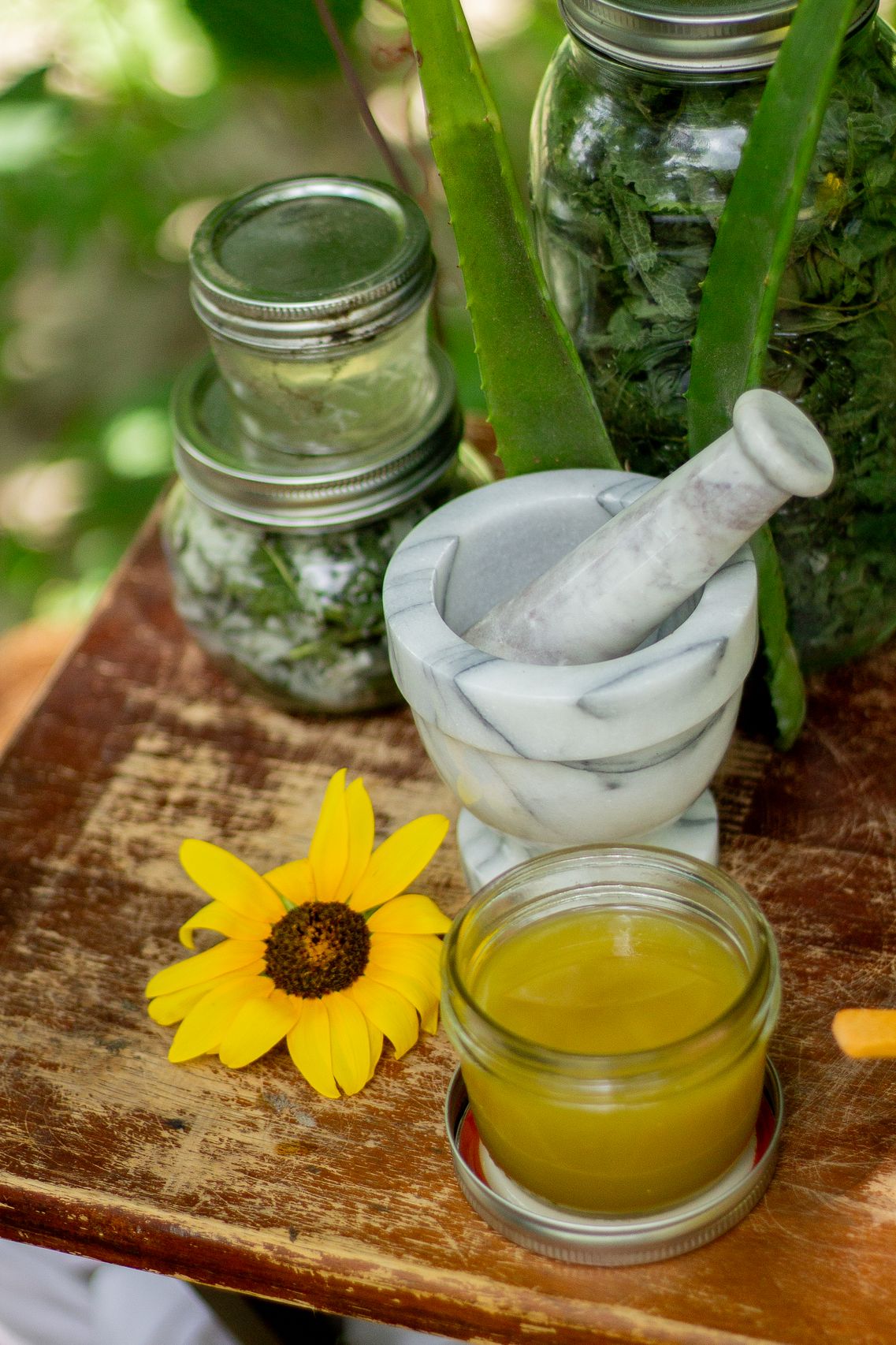 Calendula Healing Salve