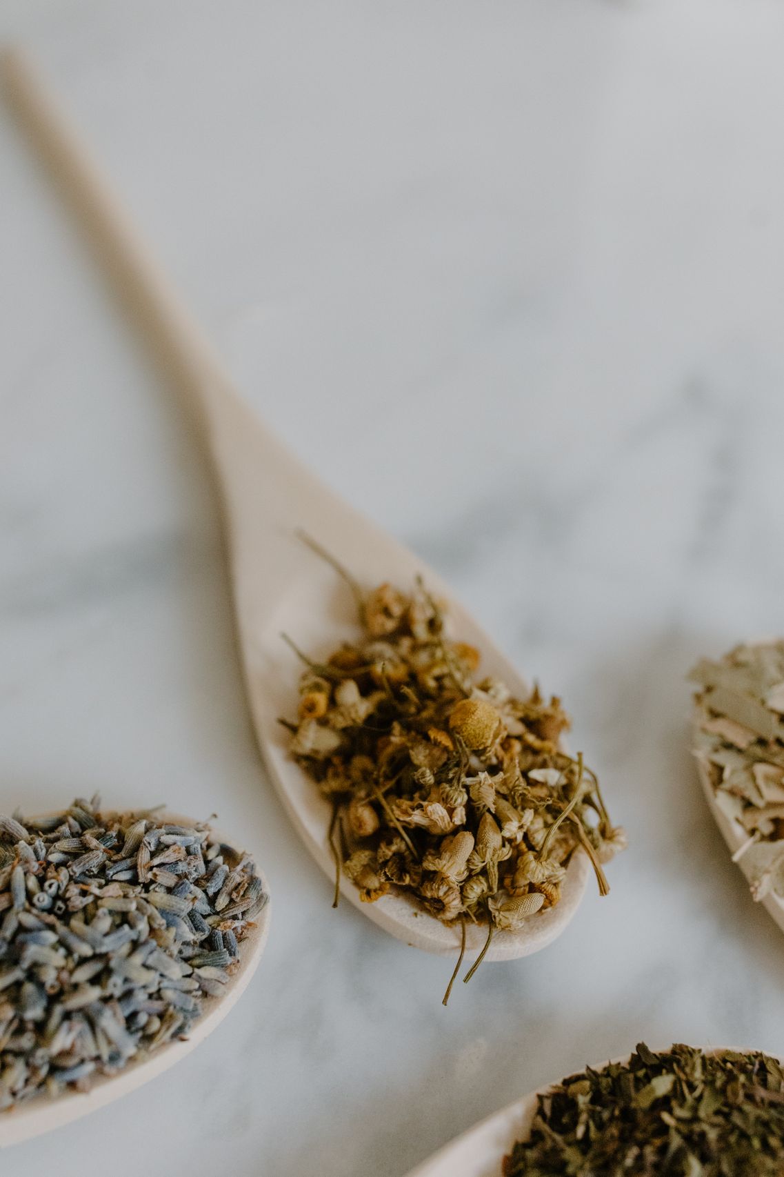 Chamomile Sleep Tea